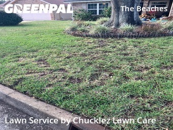 Lawn Care Servicein Jacksonville Beach,32250,Grass Cut by Chucklez Lawn Care, work completed in Jan , 2026