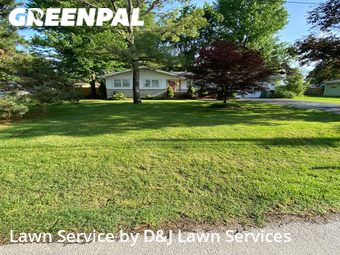 Lawn Cut nearby Springfield, MO, 
