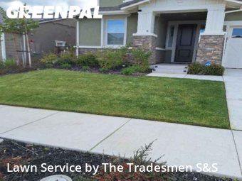 Lawn Mow nearby Antioch, CA, 
