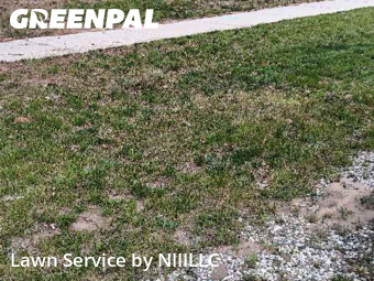 Lawn Services in Norton Shores, 49441, Weed Trimming by NIIILLC, work completed in Nov , 2025