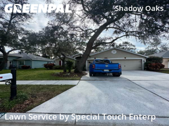 Yard Services in Holiday, 34690, Yard Maintenance by Special Touch Enterp, work completed in Dec , 2025