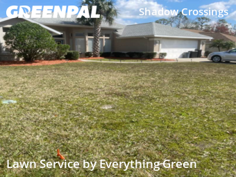 Lawn Cutting nearby Ormond Beach, FL, 