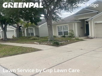 Lawn Cut nearby Brandon, FL, 