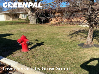 Grass Cut nearby South Milwaukee, WI, 