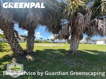 Lawn Mowing nearby Port Charlotte, FL, 