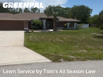 Lawn Mow nearby Spring Hill, FL, 
