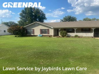 Grass Cutting nearby Decatur, AL, 