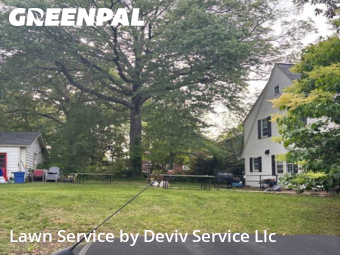 Yard Services in University Park, 20782, Weed Trimming by Deviv Service Llc, work completed in Oct , 2025