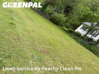 Grass Cut nearby Hiram, GA, 