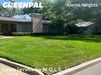 Lawn Cutin Alamo Heights,78209,Lawn Mow by M.Q.L.C. Llc., work completed in Jan , 2026
