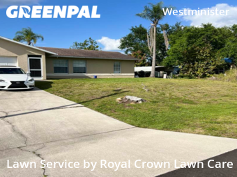 Lawn Cut nearby Lehigh Acres, FL, 