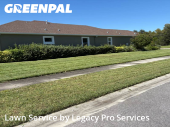Lawn Mowing Service nearby Land O' Lakes, FL, 