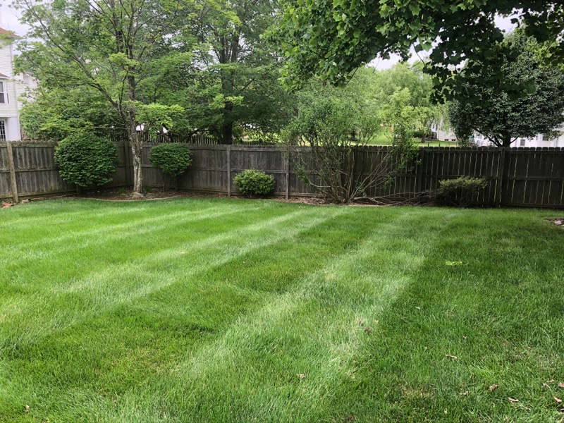 Lawn Care Service in Saint Charles, MO, 63304