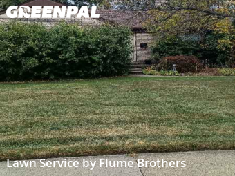 Grass Cut nearby Roseville, MI, 