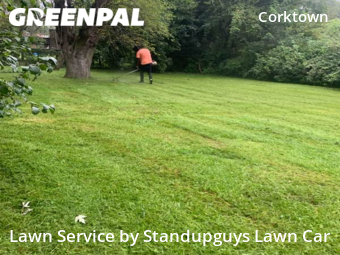 Yard Mowing nearby Detroit, MI, 
