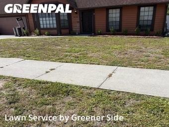 Lawn Mow nearby Venice, FL, 