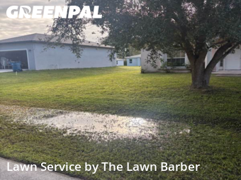 Grass Cut nearby Palm Bay, FL, 