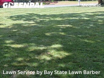 Lawn Mow nearby Medfield, MA, 