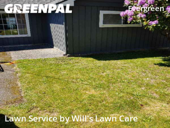 Grass Cutting nearby Everett, WA, 