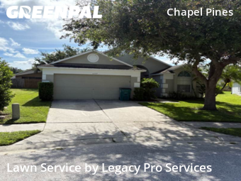 Lawn Maintenance nearby Wesley Chapel, FL, 