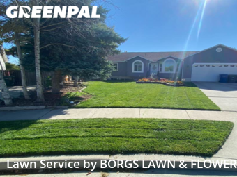 Grass Cut nearby West Valley City, UT, 