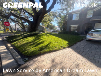 Lawn Mow nearby Tampa, FL, 