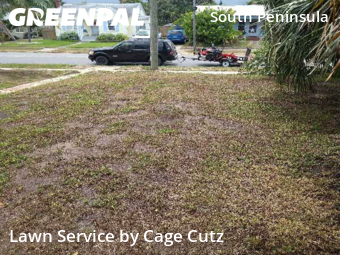 Yard Cutting nearby Daytona Beach, FL, 