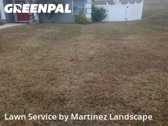 Grass Cutin Clermont,34711,Lawn Cut by Martinez Landscape, work completed in Feb , 2026
