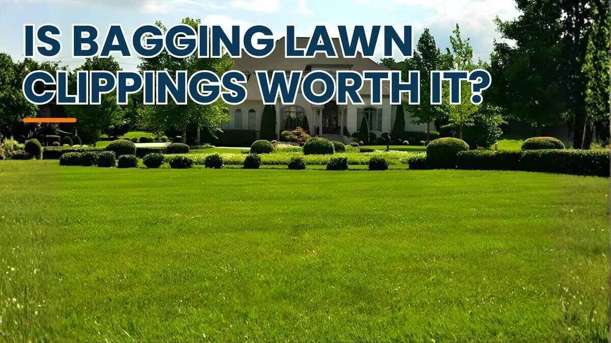 Should I bag my lawn clippings? Is it worth all the extra hassle??