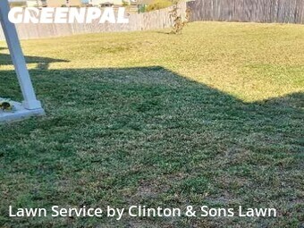 Lawn Care nearby San Antonio, TX, 