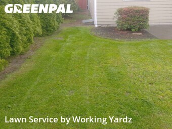 Lawn Service nearby Burien, WA, 