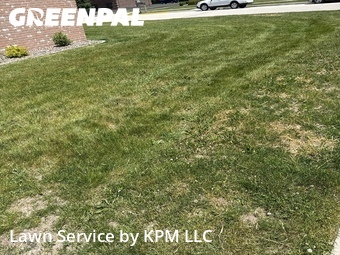 Grass Cutting nearby Belgium, WI, 