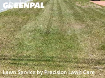 Lawn Mow nearby St. Petersburg, FL, 