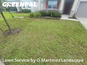 Lawn Cut nearby Leesburg, FL, 