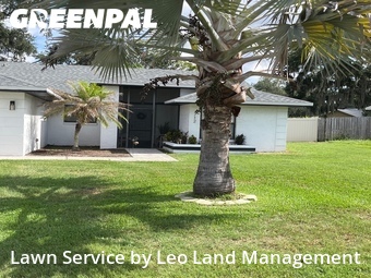 Lawn Cut nearby Lakeland, FL, 