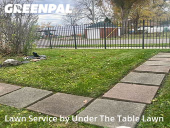 Lawn Cut nearby Hamtramck, MI, 