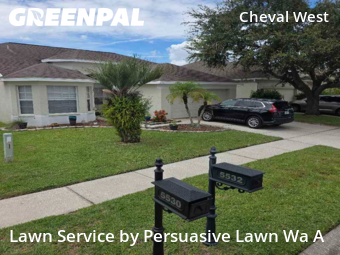 Lawn Cut nearby Lutz, FL, 