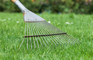 local-lawn-care-services-in-Lake Havasu City-AZ