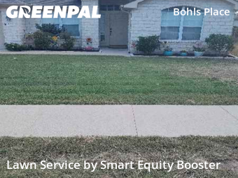 Lawn Care in Pflugerville, 78660, Lawn Management by Smart Equity Booster, work completed in Nov , 2025