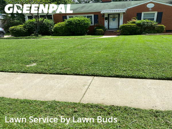 Lawn Cut nearby Charlotte, NC, 