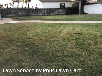 Grass Cutting nearby Chula Vista, CA, 