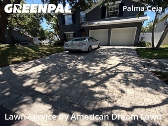 Lawn Mow nearby Tampa, FL, 