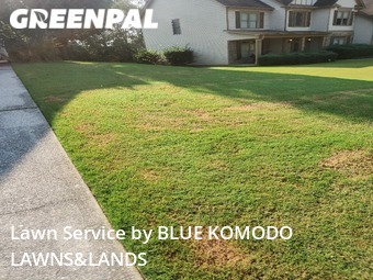 Lawn Mowing Service nearby Cumming, GA, 