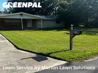 Lawn Cutting nearby Ocala, FL, 