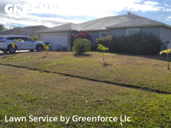 Landscaping Companies In Port St. Lucie,34953,Landscaping Services by Greenforce Llc , work completed in Jan , 2026