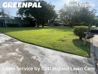 Grass Cut nearby Virginia Beach, VA, 