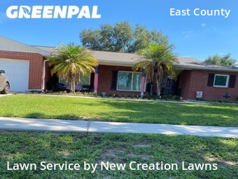 Lawn Mow nearby Valrico, FL, 