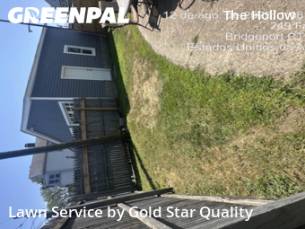 Property Maintenance in Bridgeport, 6604, Yard Care by Gold Star Quality , work completed in Nov , 2025