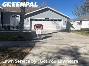 Yard Cutting nearby Clermont, FL, 