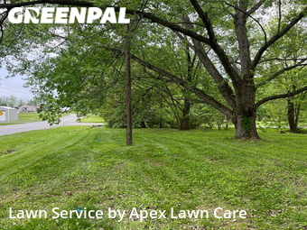 Lawn Mow nearby New Albany, IN, 